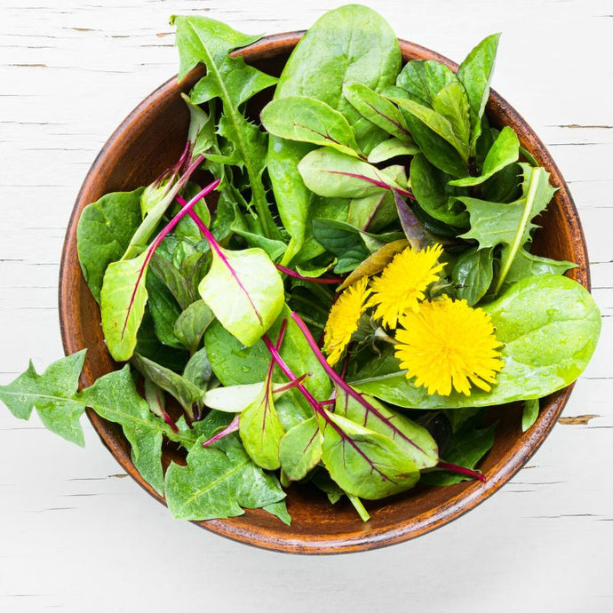 Jaké bylinky jsou vhodné na salát? A co dobrého ti přinesou?